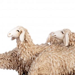 Gregge di Pecore per il Presepe 15 cm