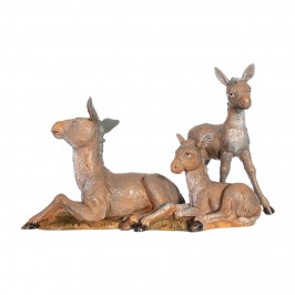 Famiglia Asini Fontanini