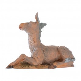 Famiglia Asini Fontanini