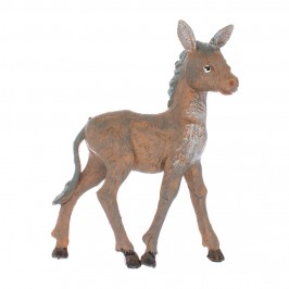 Famiglia Asini Fontanini