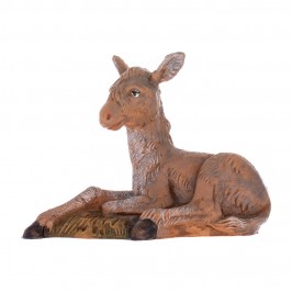 Famiglia Asini Fontanini