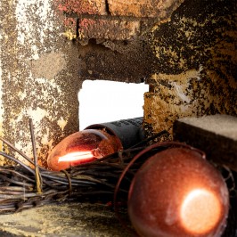 Oste Presepe in Movimento 10 cm