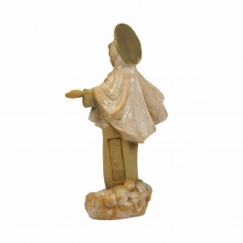 Madonna di Medjugorje...