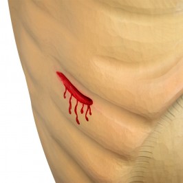 Corpo di Cristo Barocco in Legno