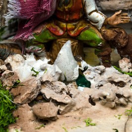 Pastore al Fuoco in...