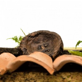 Pizzaiolo cm 6 Per il Presepe