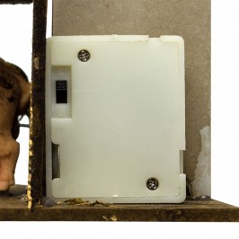 Maiale Presepe in Movimento