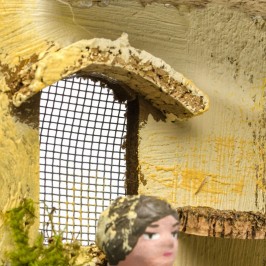 Pastorella con Galline