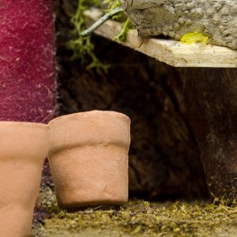 Pescivendolo per il Presepe