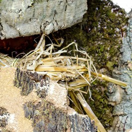 Capanna per Presepe con Luci e Fontana