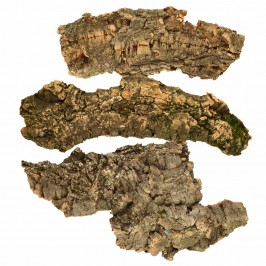 Corteccia di Sughero...