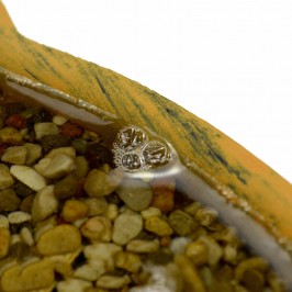 Vaschetta per Lago con Ghiaia