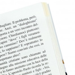 La Famiglia Catechesi di Papa Francesco