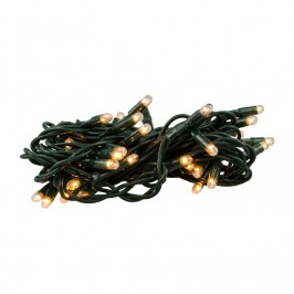 Dieci Minilucciole per Interno