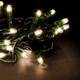 Dieci Minilucciole per Interno