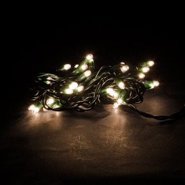 Venti Minilucciole per Interno