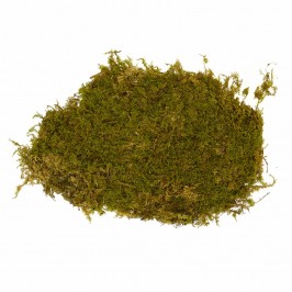 Muschio Naturale 350 gr