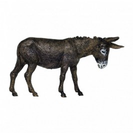 Natività per il Presepe