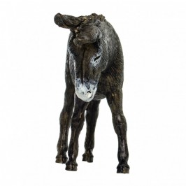 Natività per il Presepe