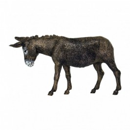 Natività per il Presepe