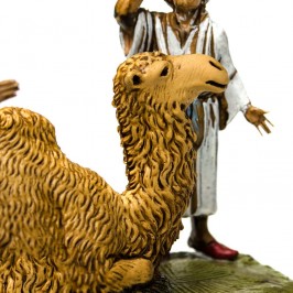 Cammellieri e Cammello Seduto