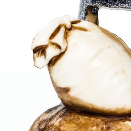 Castagnara Landi 8 cm