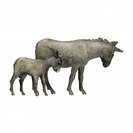 Asino e Asinello Landi