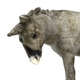 Asino e Asinello Landi