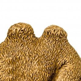 Cammello Landi cm 10