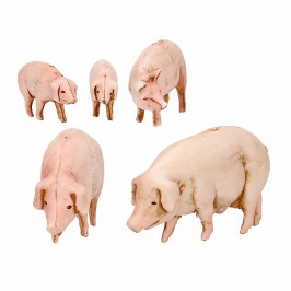 Maiali Assortiti Landi cm 10