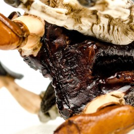 Pastore Adorante con Capra