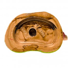 Zampognaro Giovane Landi