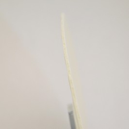 Ostia Magna Consacrazione...