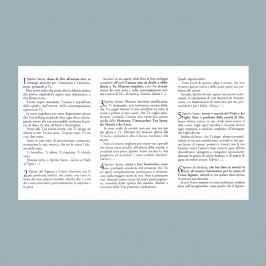 Novena allo Spirito Santo 100 pezzi