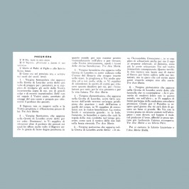 Novena Madonna di Lourdes 100 pezzi