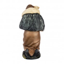 Pastore in Ginocchio...