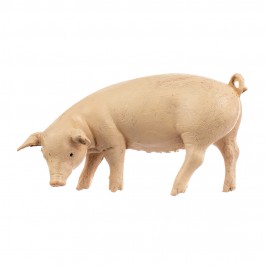 Famiglia Maiali Fontanini...