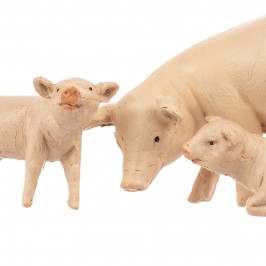 Famiglia Maiali Fontanini...