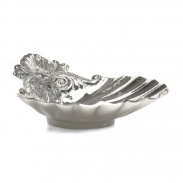 Conchiglia Battesimo