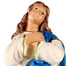Statua Immacolata del...