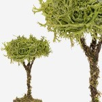 Alberi e palme per presepi